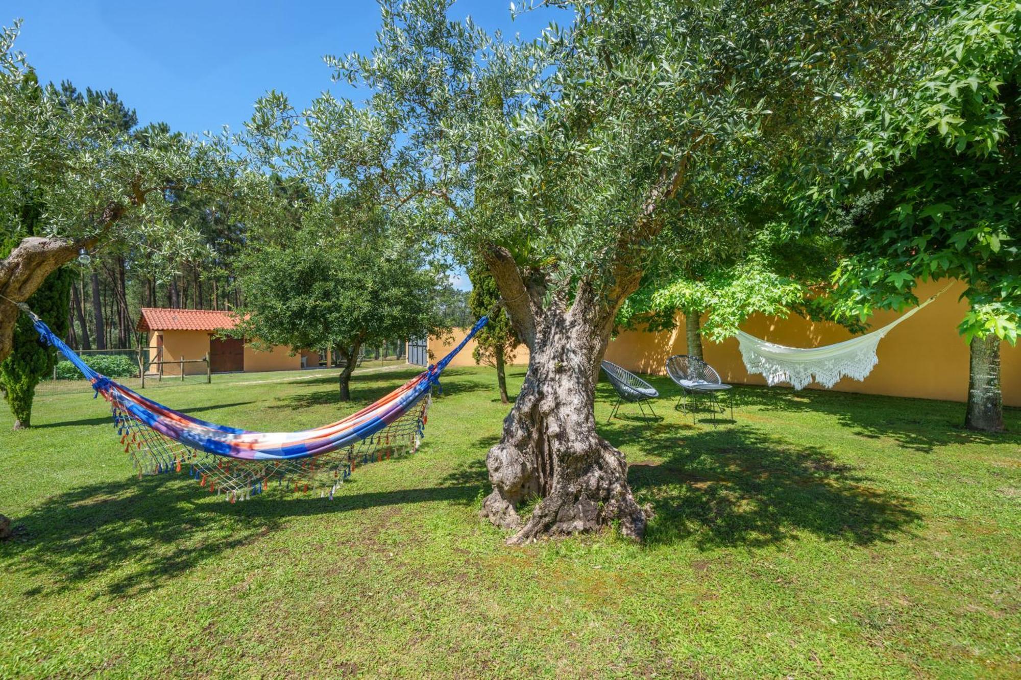 Apartamento T1 Charme, Condominio Perto De Pombal Pombal  Exteriér fotografie